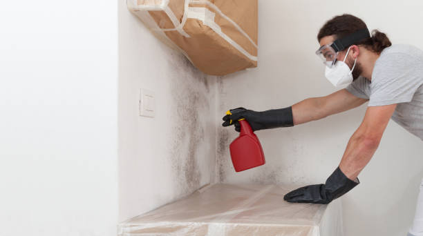Professional Mold Testing technician working in Charlestown, MA