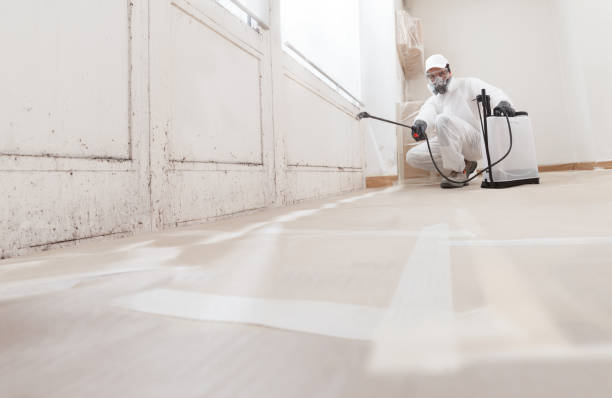 24/7 Emergency Mold Testing experts in Charlestown, MA